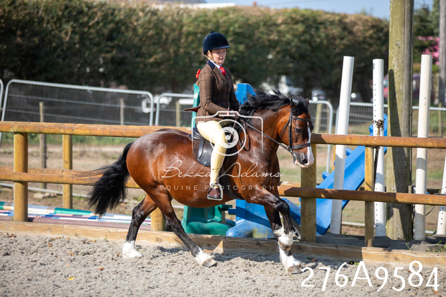 Home Farm Annual Show 2025 - Ridden Pt 2