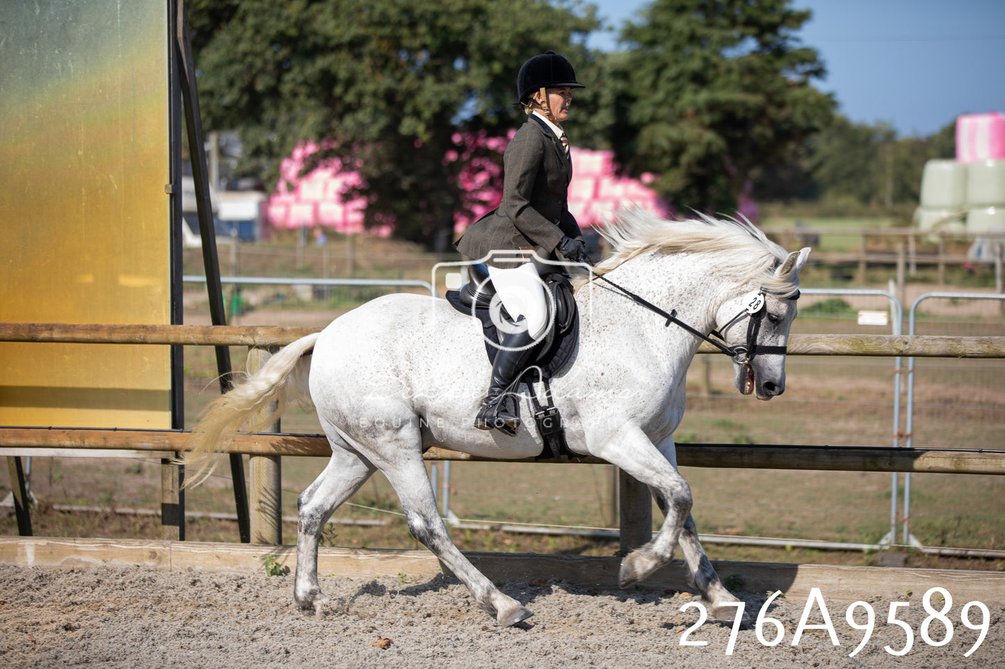 Home Farm Annual Show 2025 - Ridden Pt 2