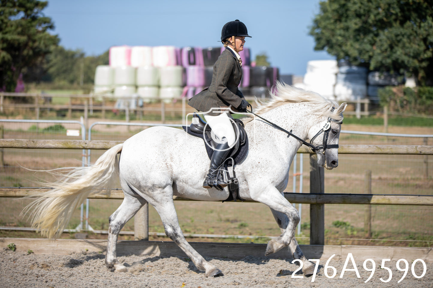 Home Farm Annual Show 2025 - Ridden Pt 2