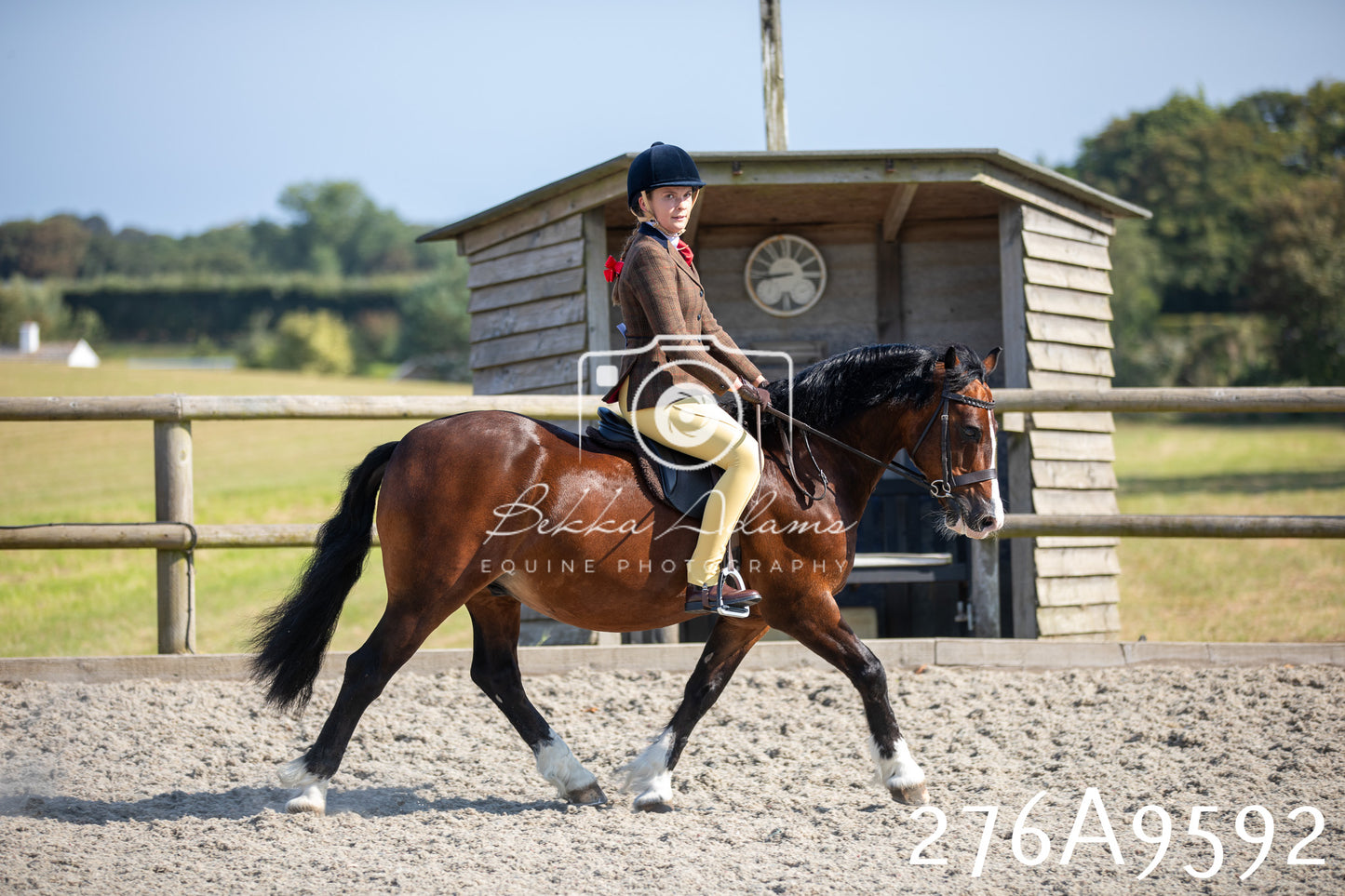 Home Farm Annual Show 2025 - Ridden Pt 2