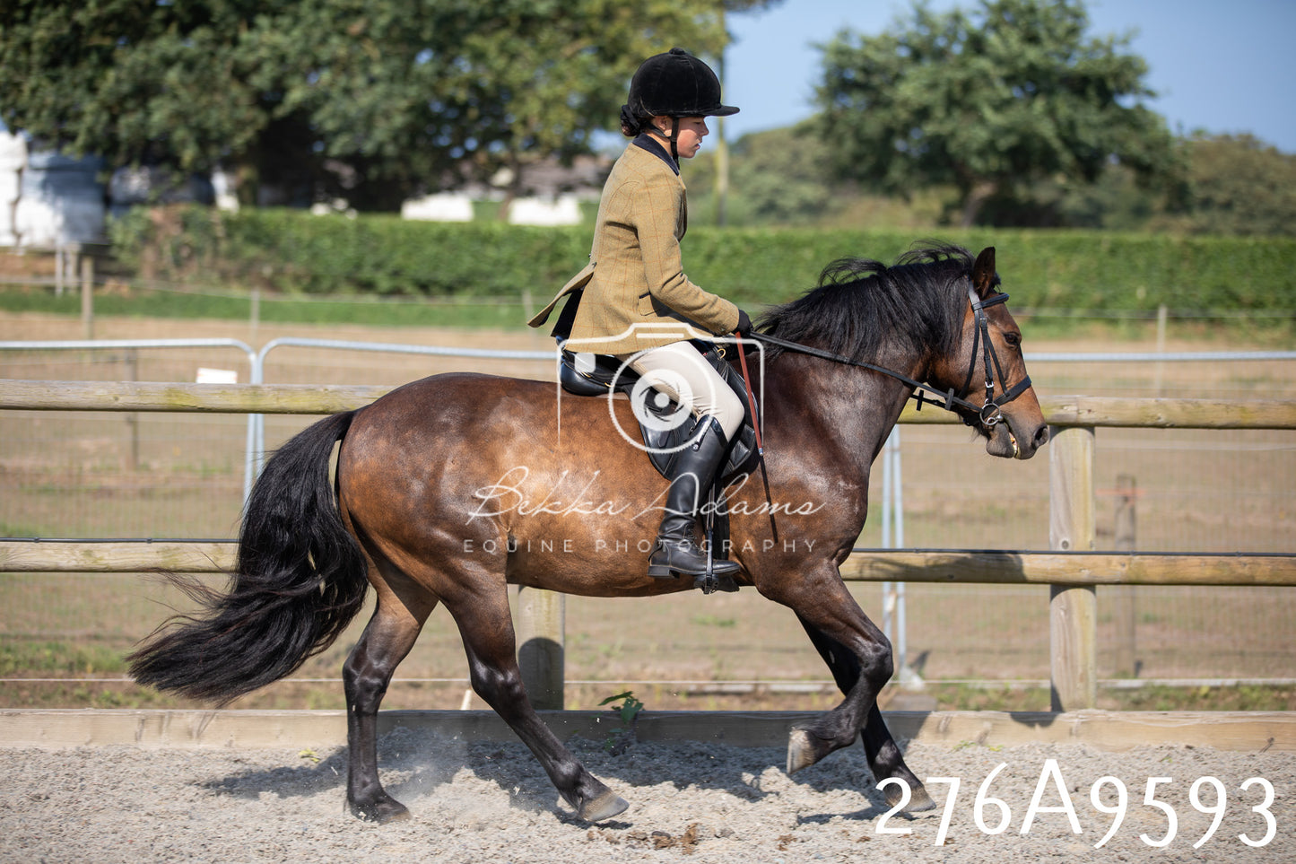 Home Farm Annual Show 2025 - Ridden Pt 2