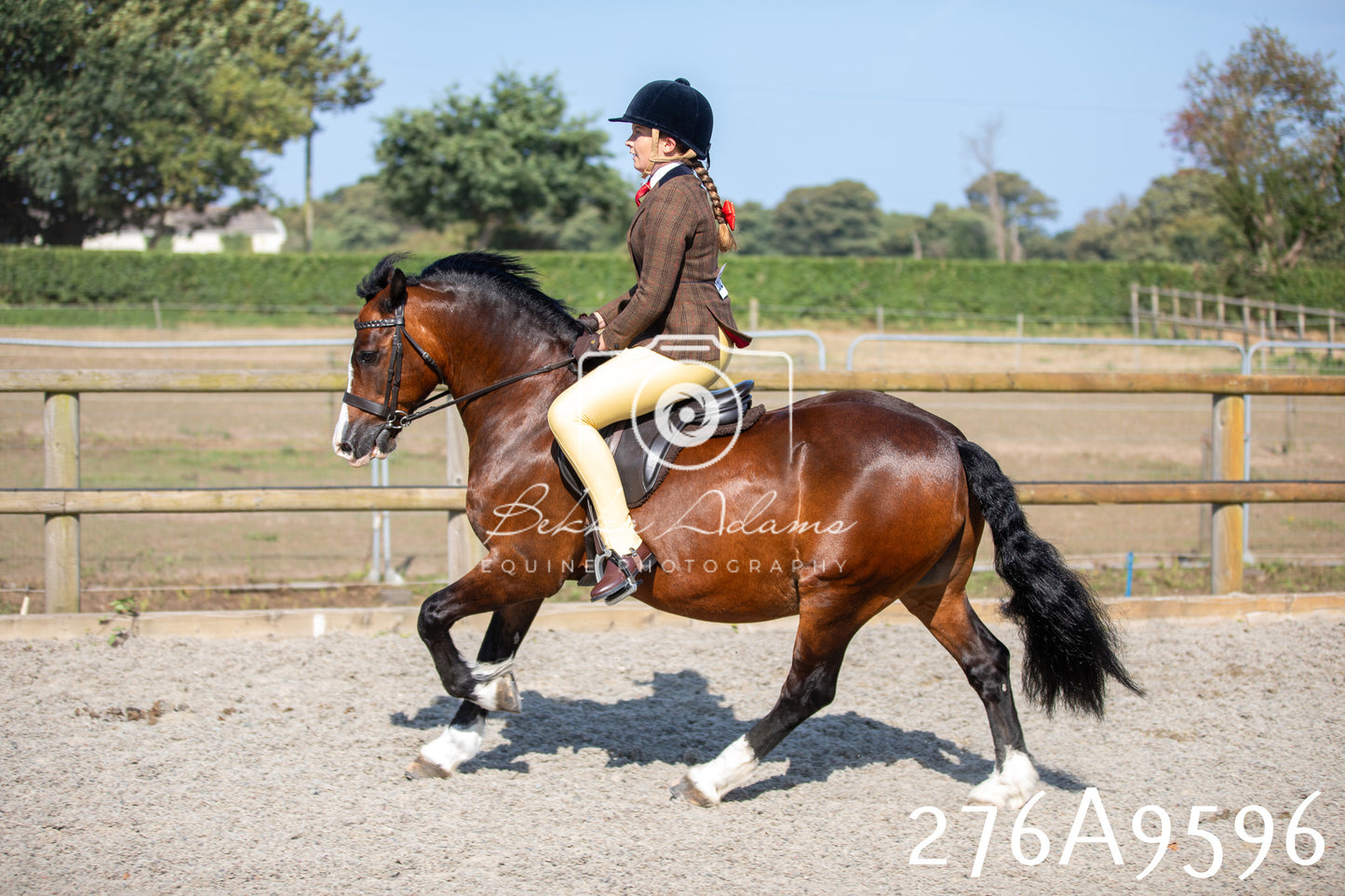 Home Farm Annual Show 2025 - Ridden Pt 2