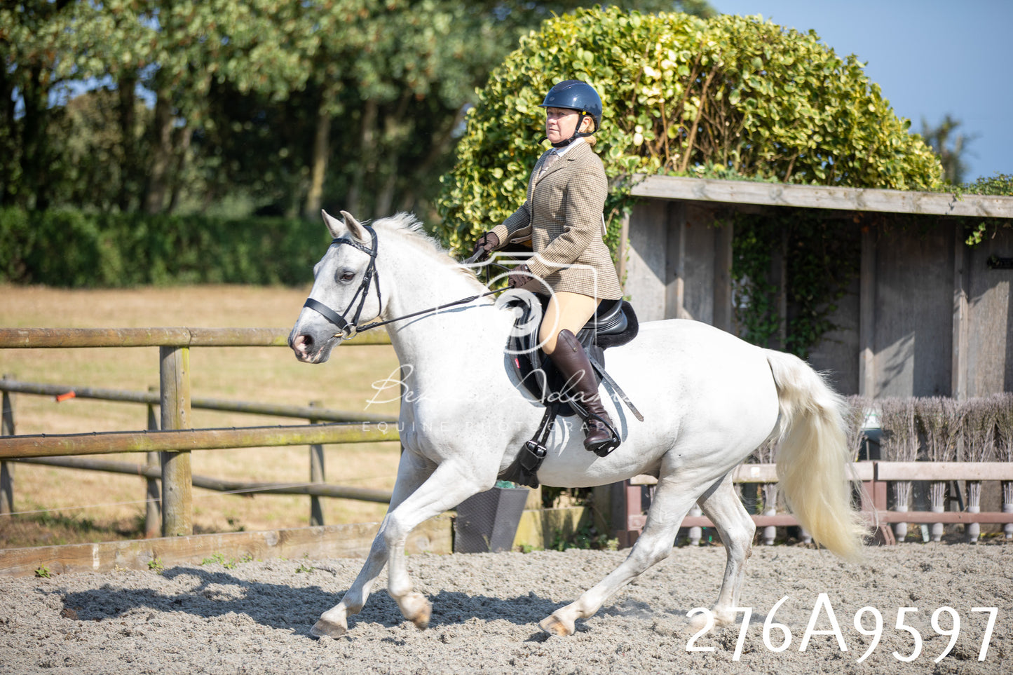 Home Farm Annual Show 2025 - Ridden Pt 2