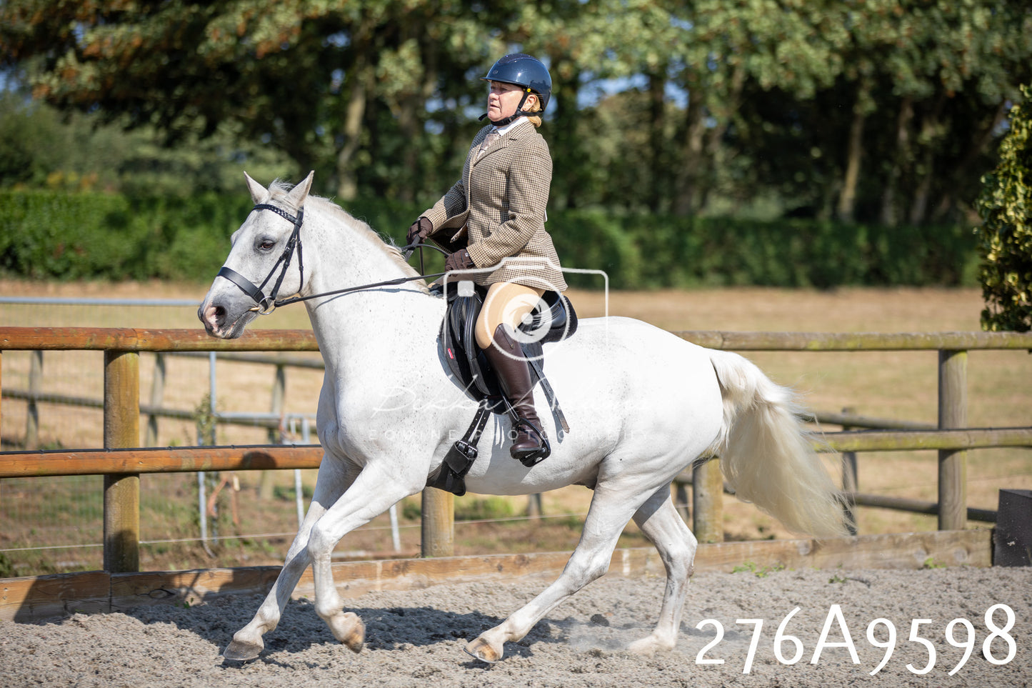 Home Farm Annual Show 2025 - Ridden Pt 2
