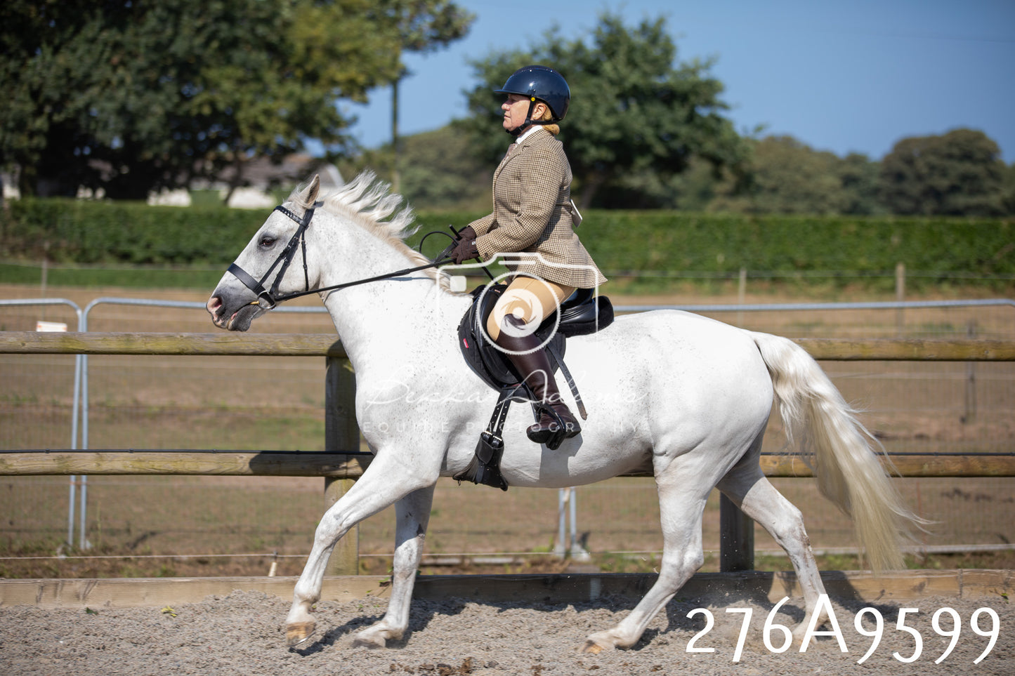 Home Farm Annual Show 2025 - Ridden Pt 2