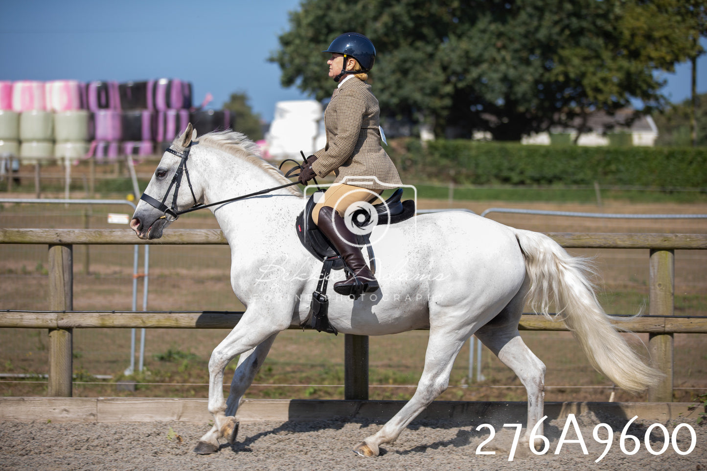 Home Farm Annual Show 2025 - Ridden Pt 2