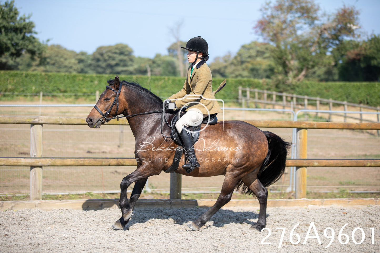 Home Farm Annual Show 2025 - Ridden Pt 2