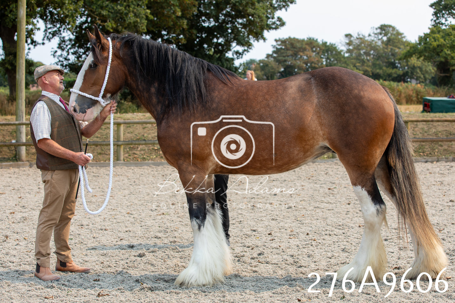 Home Farm Annual Show 2025 - Inhand Pt 2