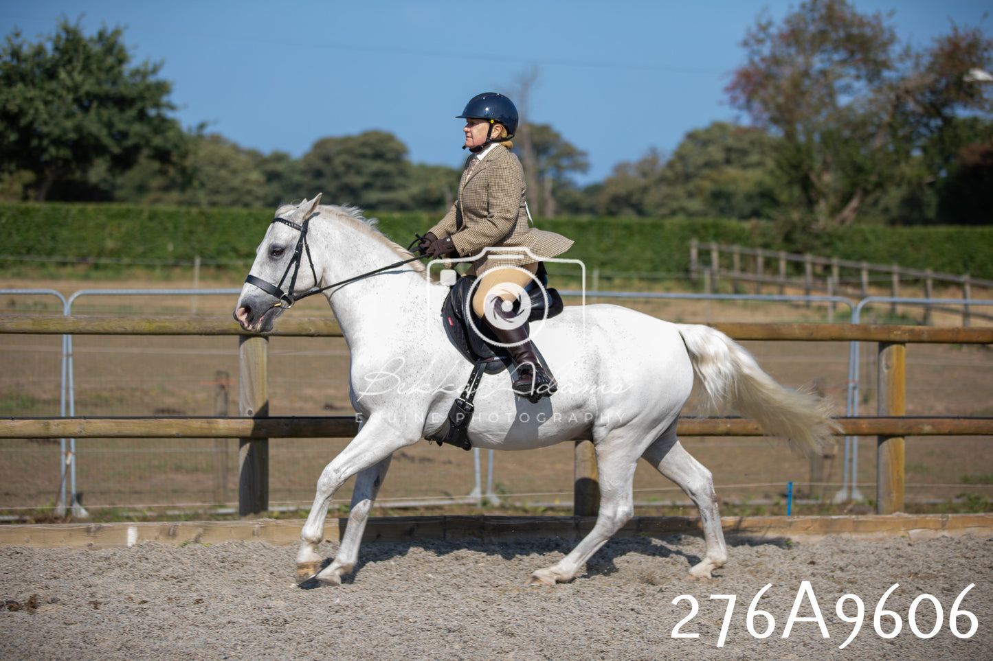 Home Farm Annual Show 2025 - Ridden Pt 2