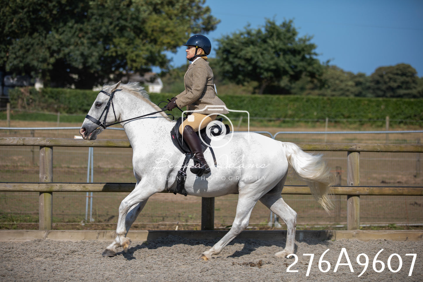Home Farm Annual Show 2025 - Ridden Pt 2