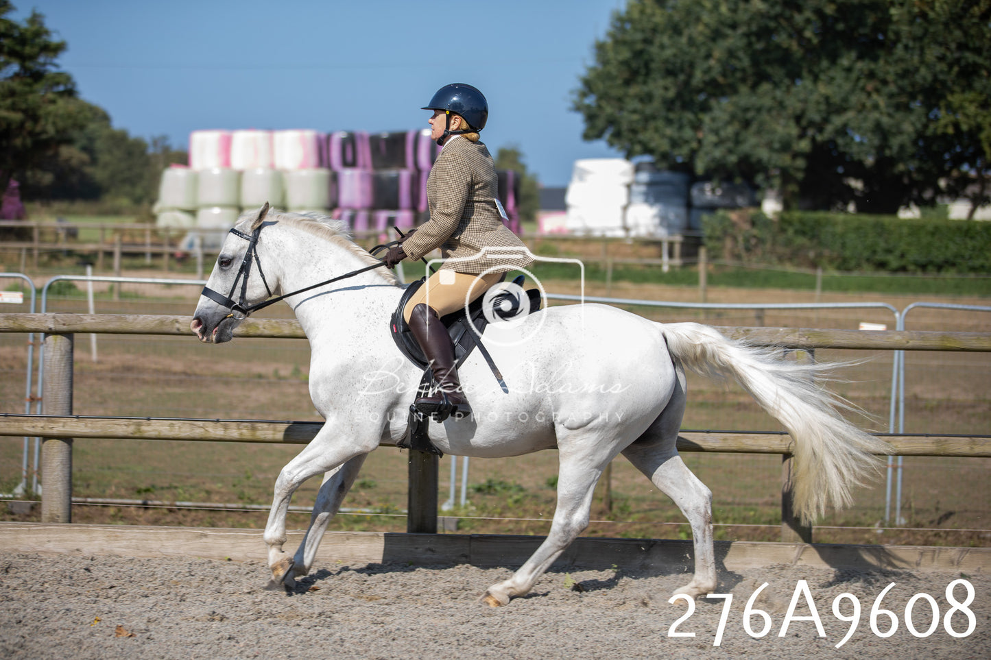 Home Farm Annual Show 2025 - Ridden Pt 2
