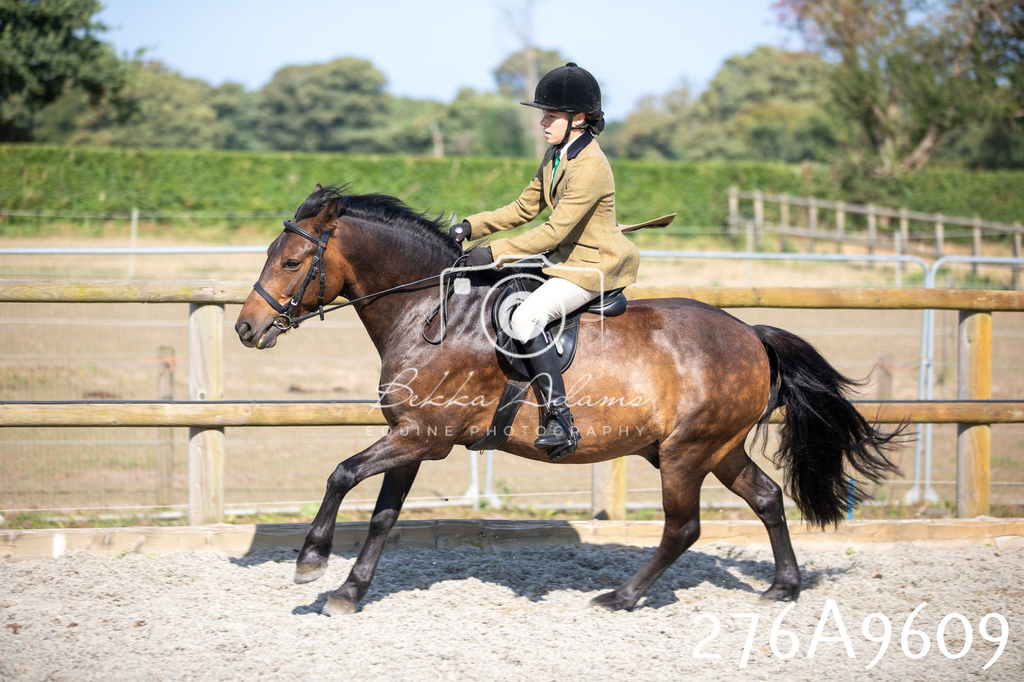 Home Farm Annual Show 2025 - Ridden Pt 2