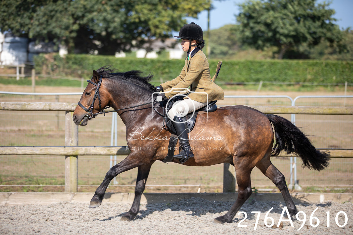 Home Farm Annual Show 2025 - Ridden Pt 2