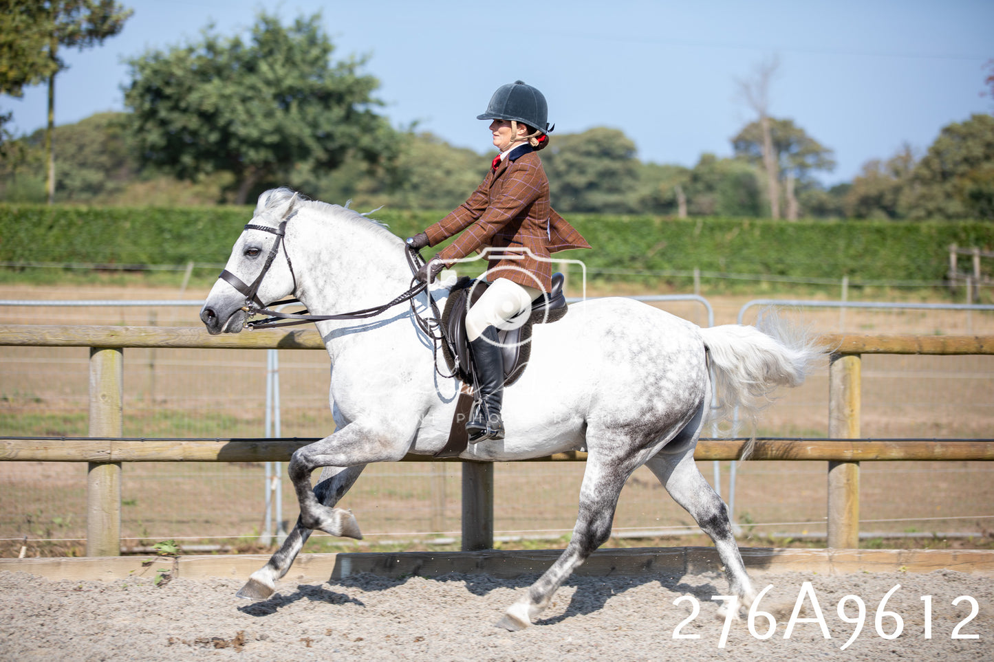 Home Farm Annual Show 2025 - Ridden Pt 2