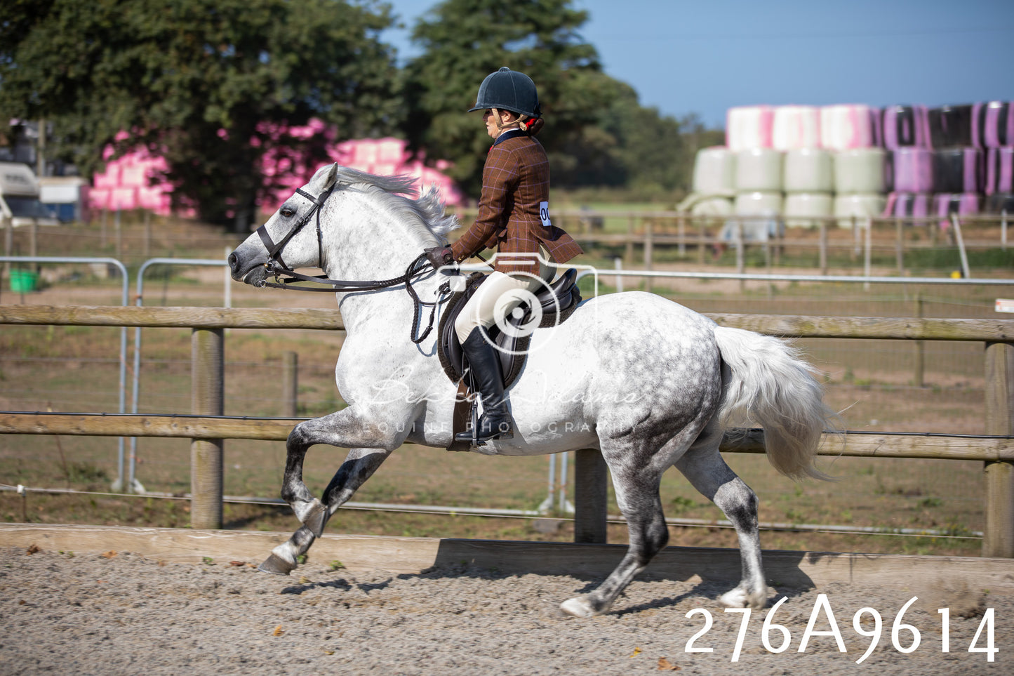 Home Farm Annual Show 2025 - Ridden Pt 2