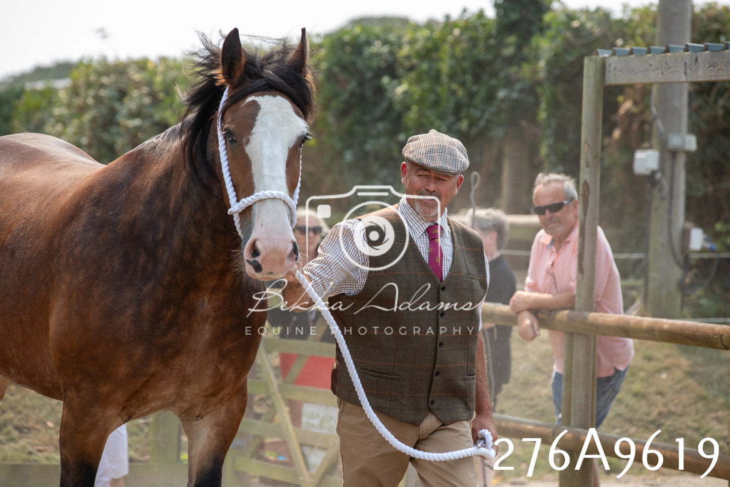 Home Farm Annual Show 2025 - Inhand Pt 2