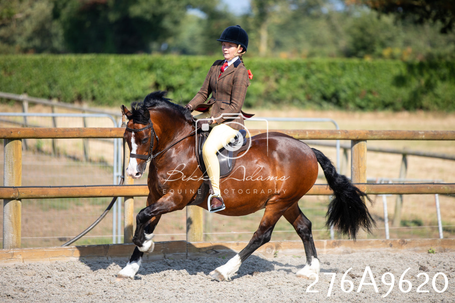 Home Farm Annual Show 2025 - Ridden Pt 2
