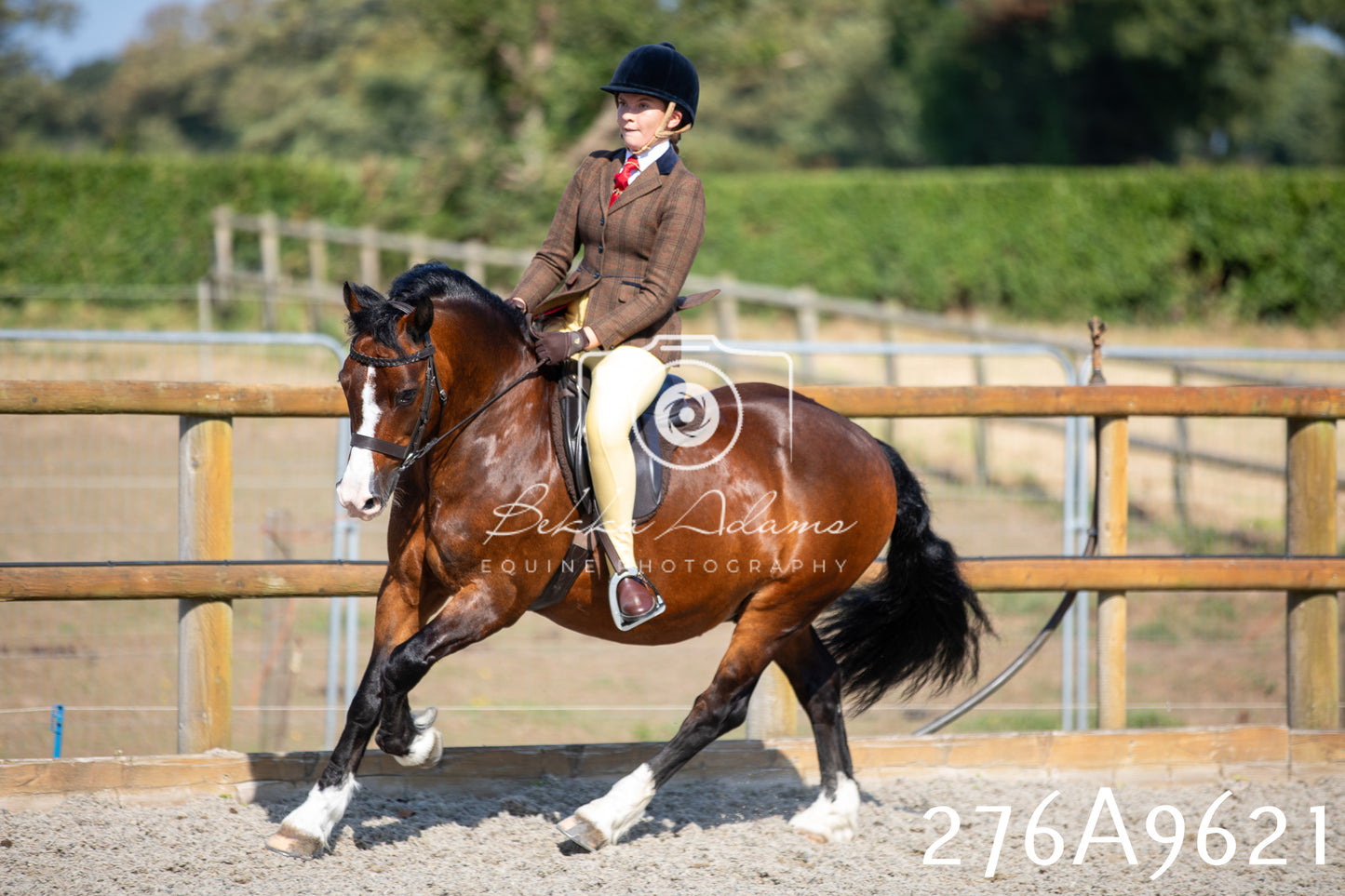 Home Farm Annual Show 2025 - Ridden Pt 2