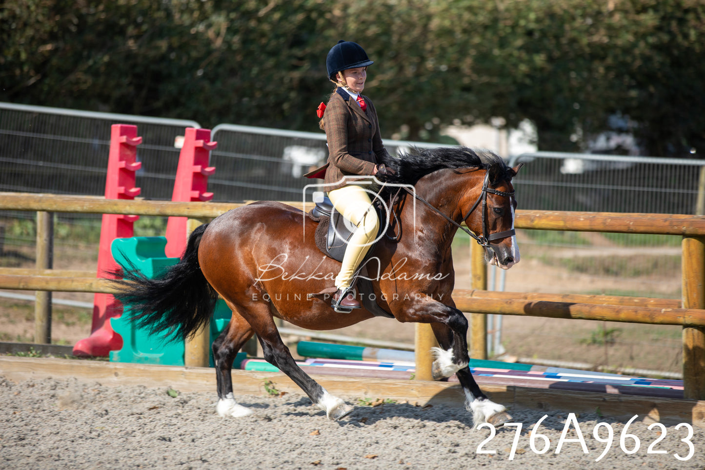 Home Farm Annual Show 2025 - Ridden Pt 2