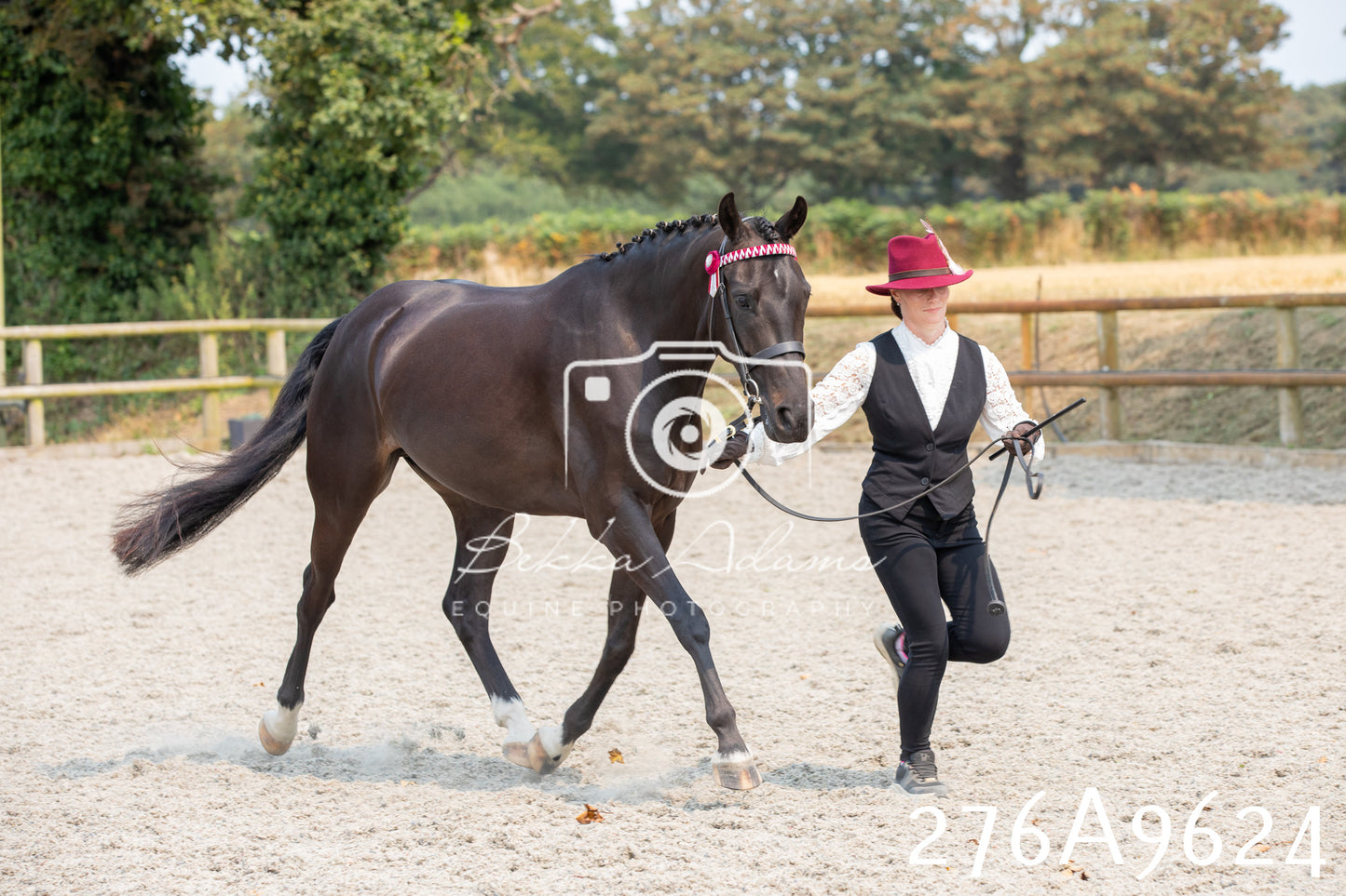Home Farm Annual Show 2025 - Inhand Pt 2