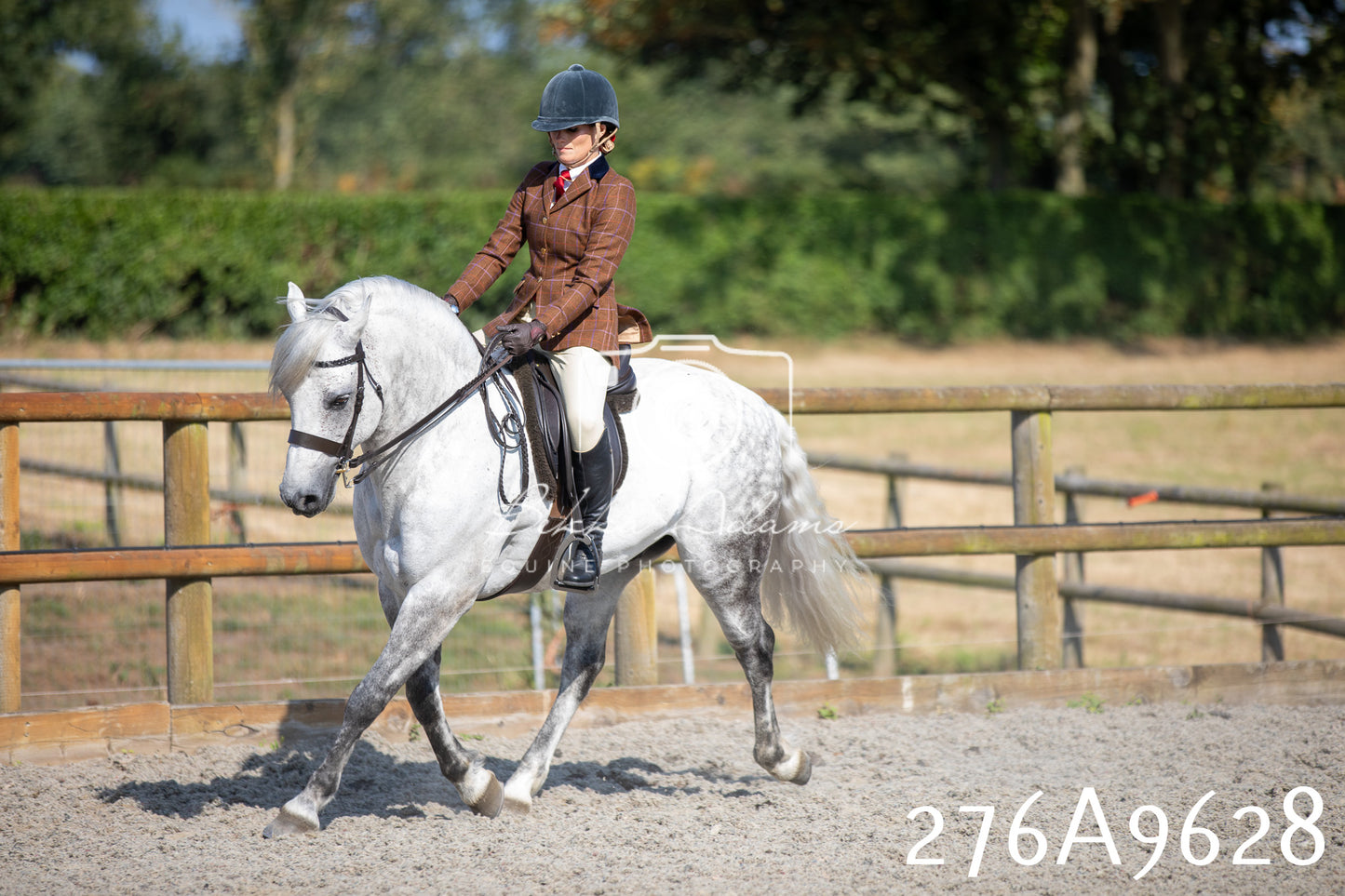 Home Farm Annual Show 2025 - Ridden Pt 2