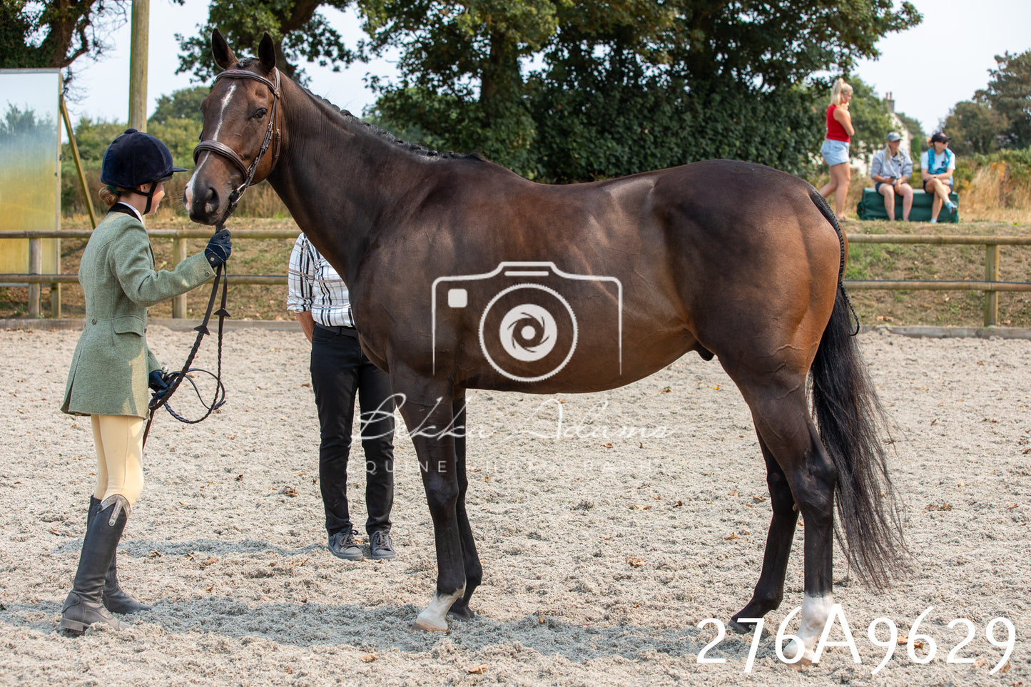 Home Farm Annual Show 2025 - Inhand Pt 2