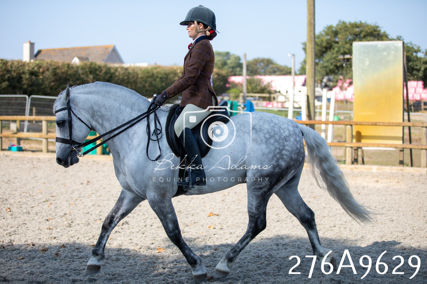 Home Farm Annual Show 2025 - Ridden Pt 2