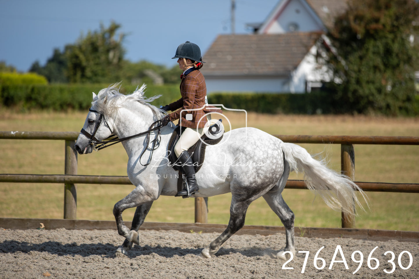 Home Farm Annual Show 2025 - Ridden Pt 2