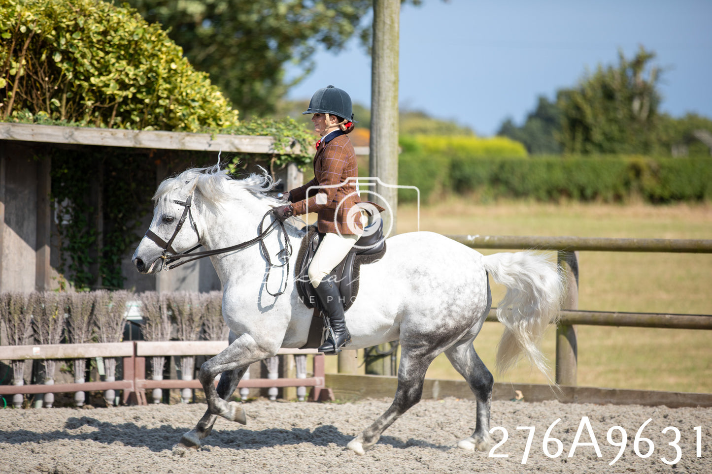 Home Farm Annual Show 2025 - Ridden Pt 2