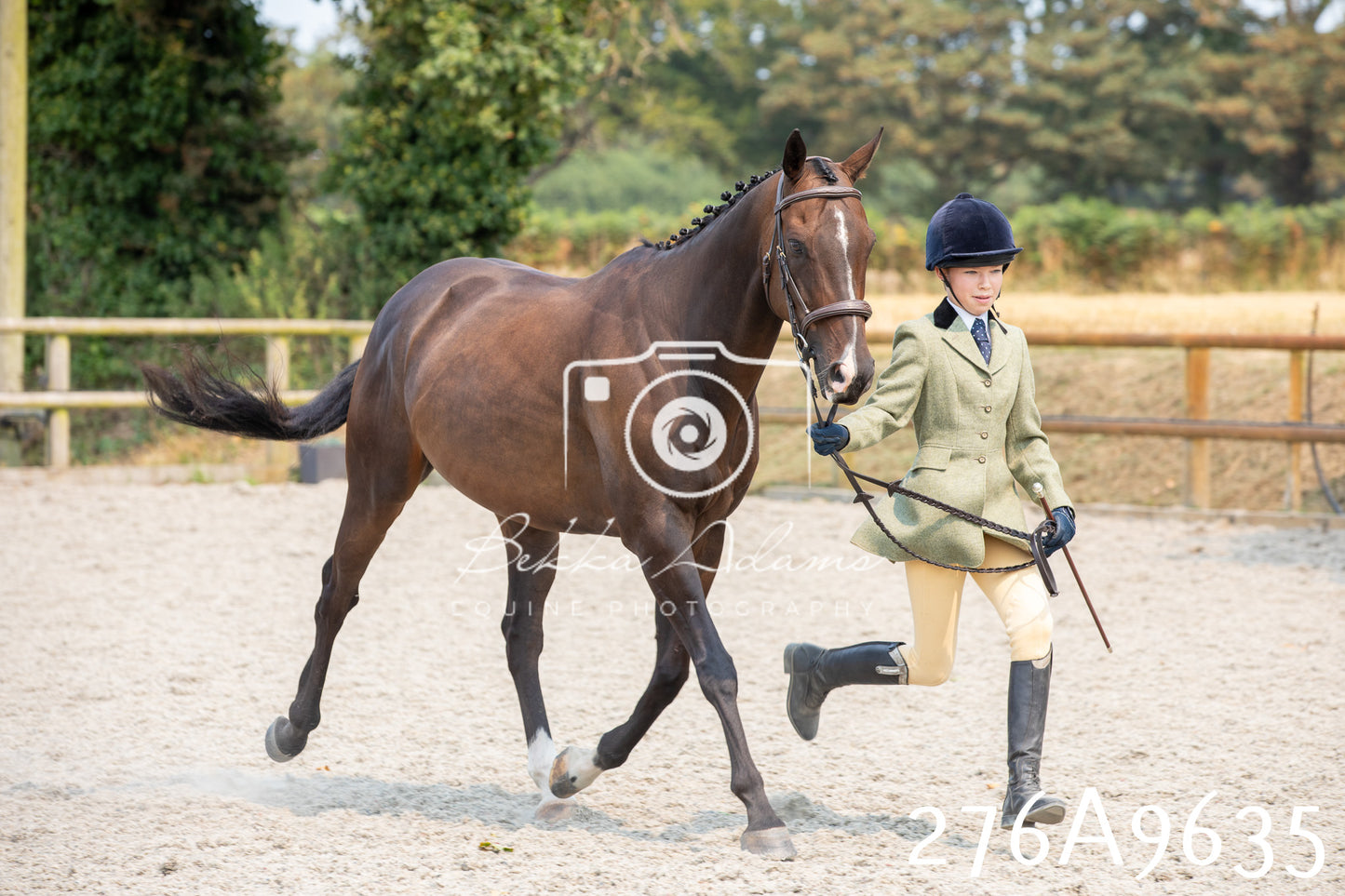 Home Farm Annual Show 2025 - Inhand Pt 2
