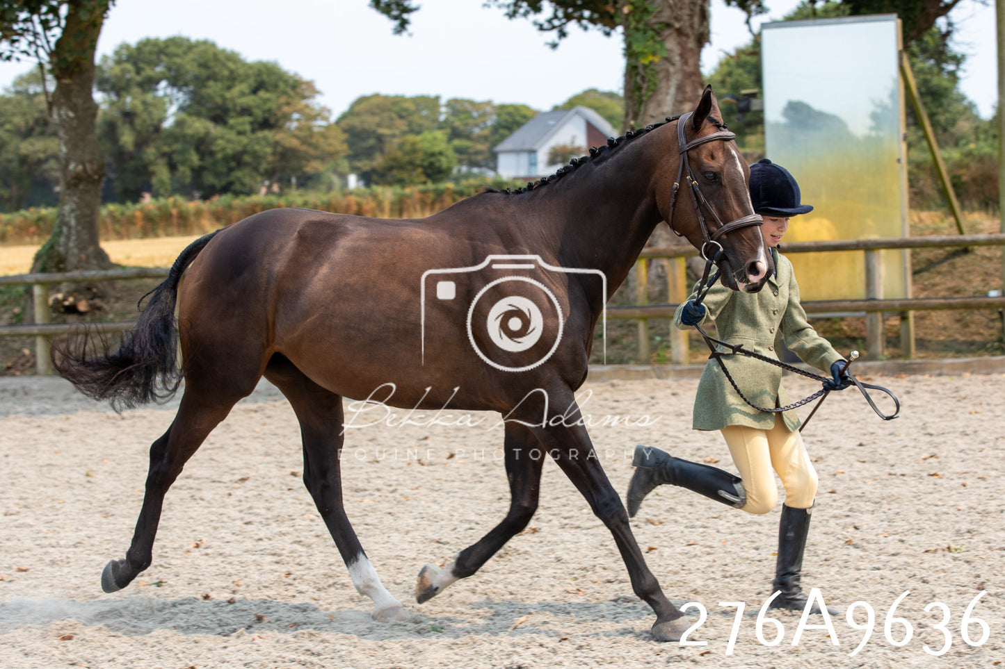 Home Farm Annual Show 2025 - Inhand Pt 2
