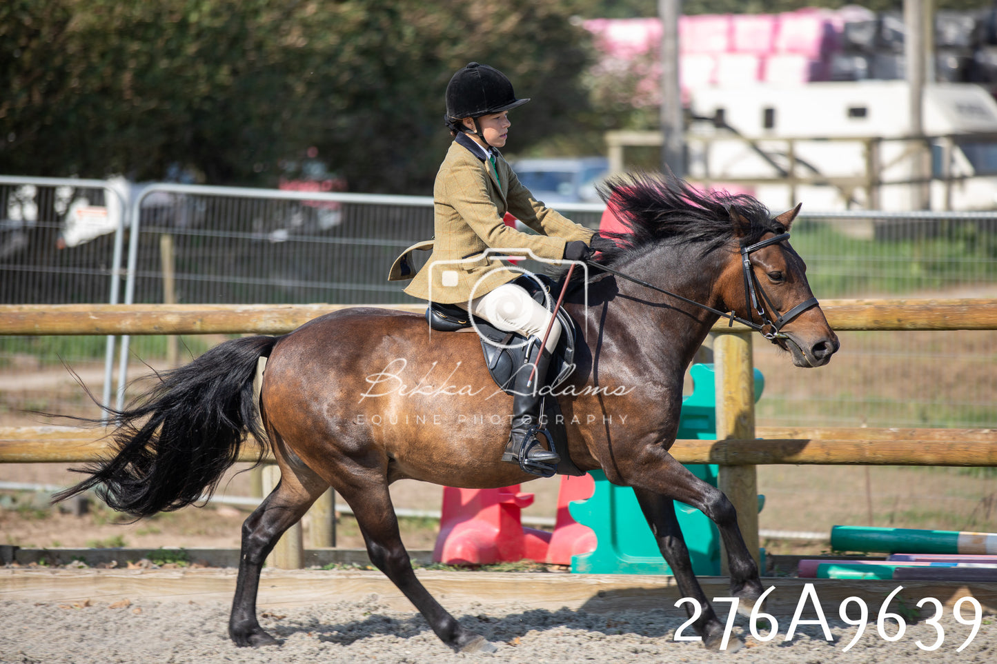 Home Farm Annual Show 2025 - Ridden Pt 2