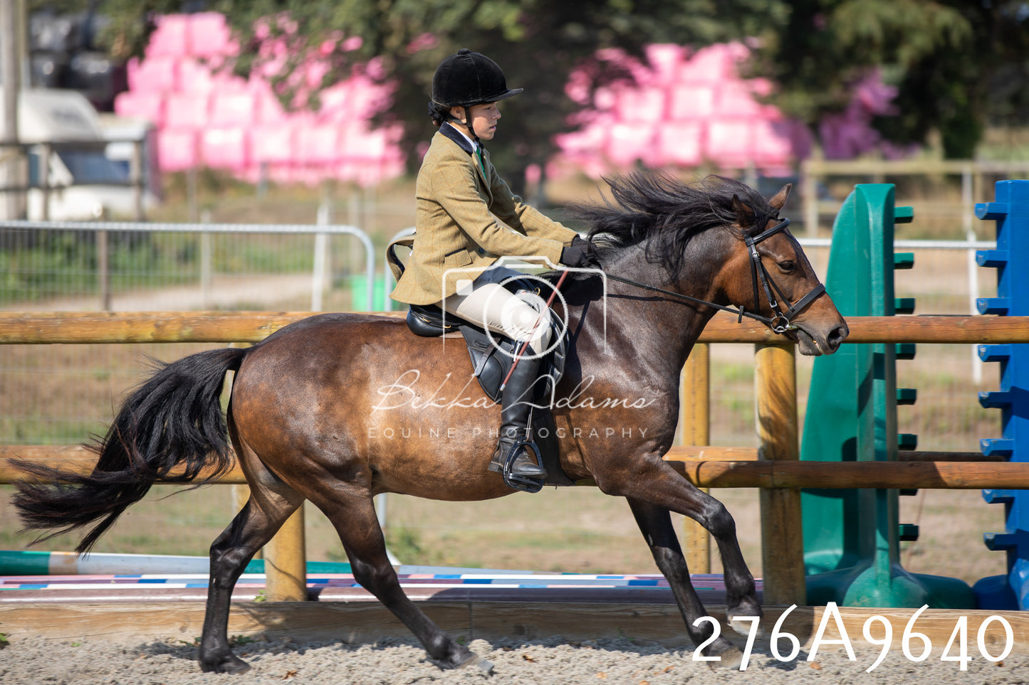 Home Farm Annual Show 2025 - Ridden Pt 2