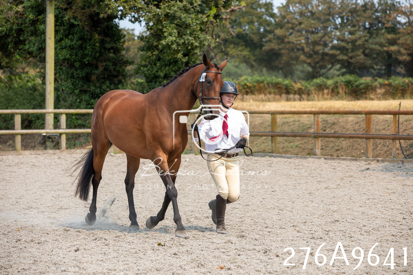 Home Farm Annual Show 2025 - Inhand Pt 2