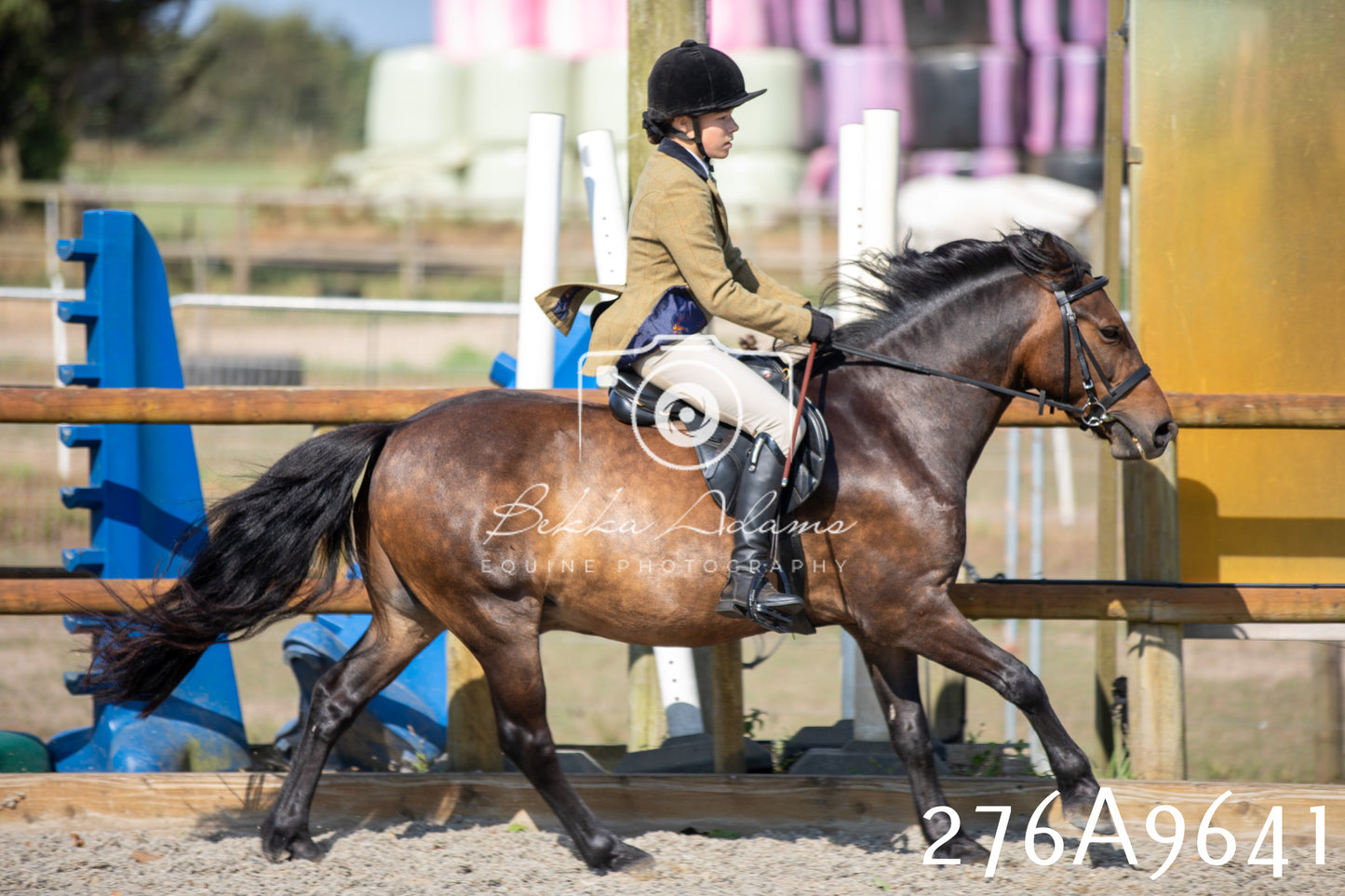 Home Farm Annual Show 2025 - Ridden Pt 2
