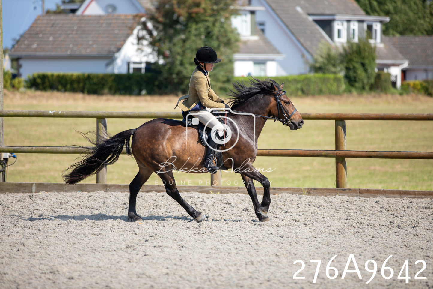Home Farm Annual Show 2025 - Ridden Pt 2