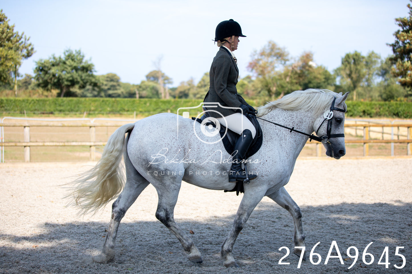 Home Farm Annual Show 2025 - Ridden Pt 2
