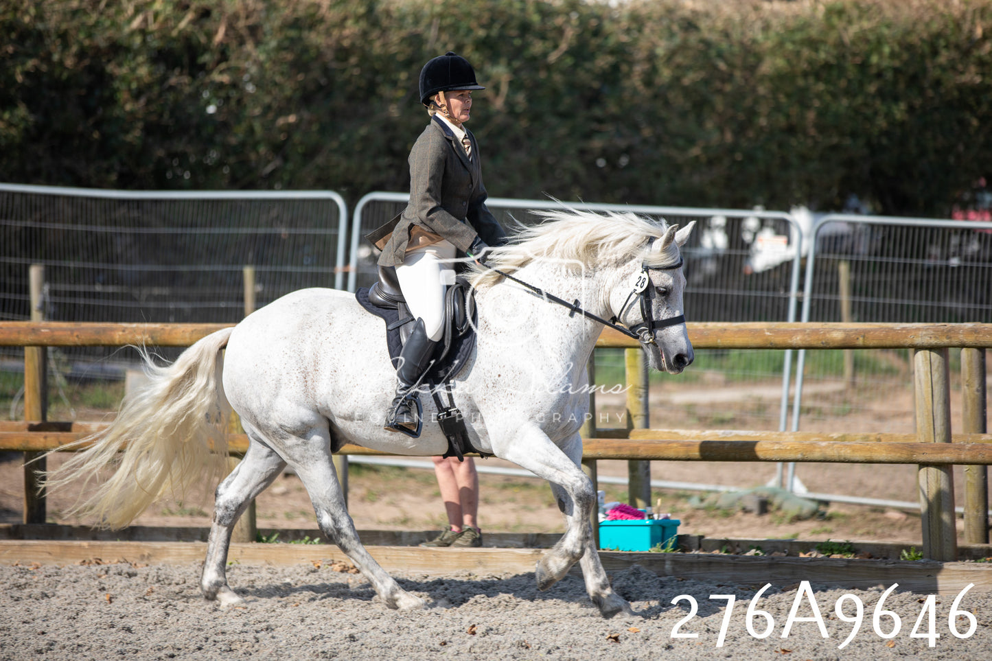 Home Farm Annual Show 2025 - Ridden Pt 2