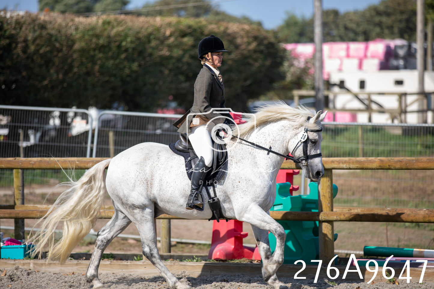 Home Farm Annual Show 2025 - Ridden Pt 2