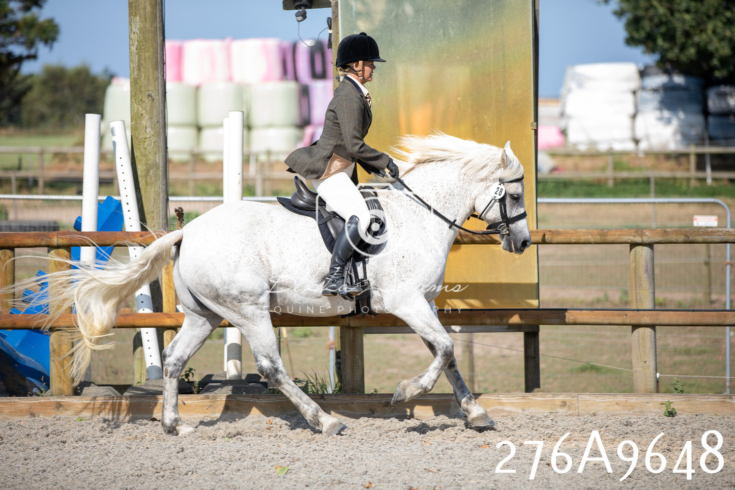 Home Farm Annual Show 2025 - Ridden Pt 2