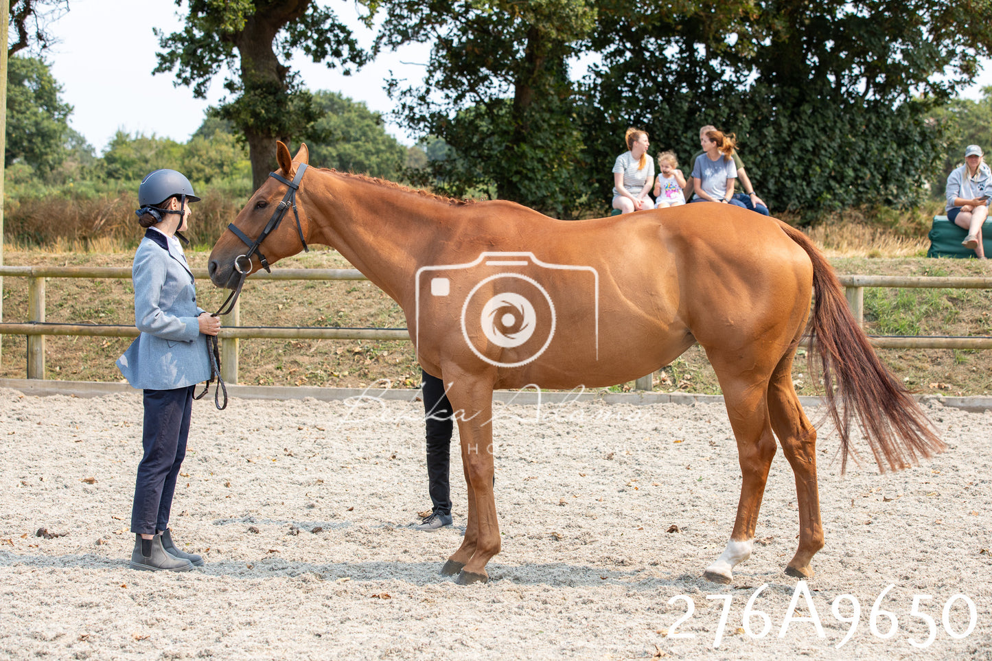 Home Farm Annual Show 2025 - Inhand Pt 2
