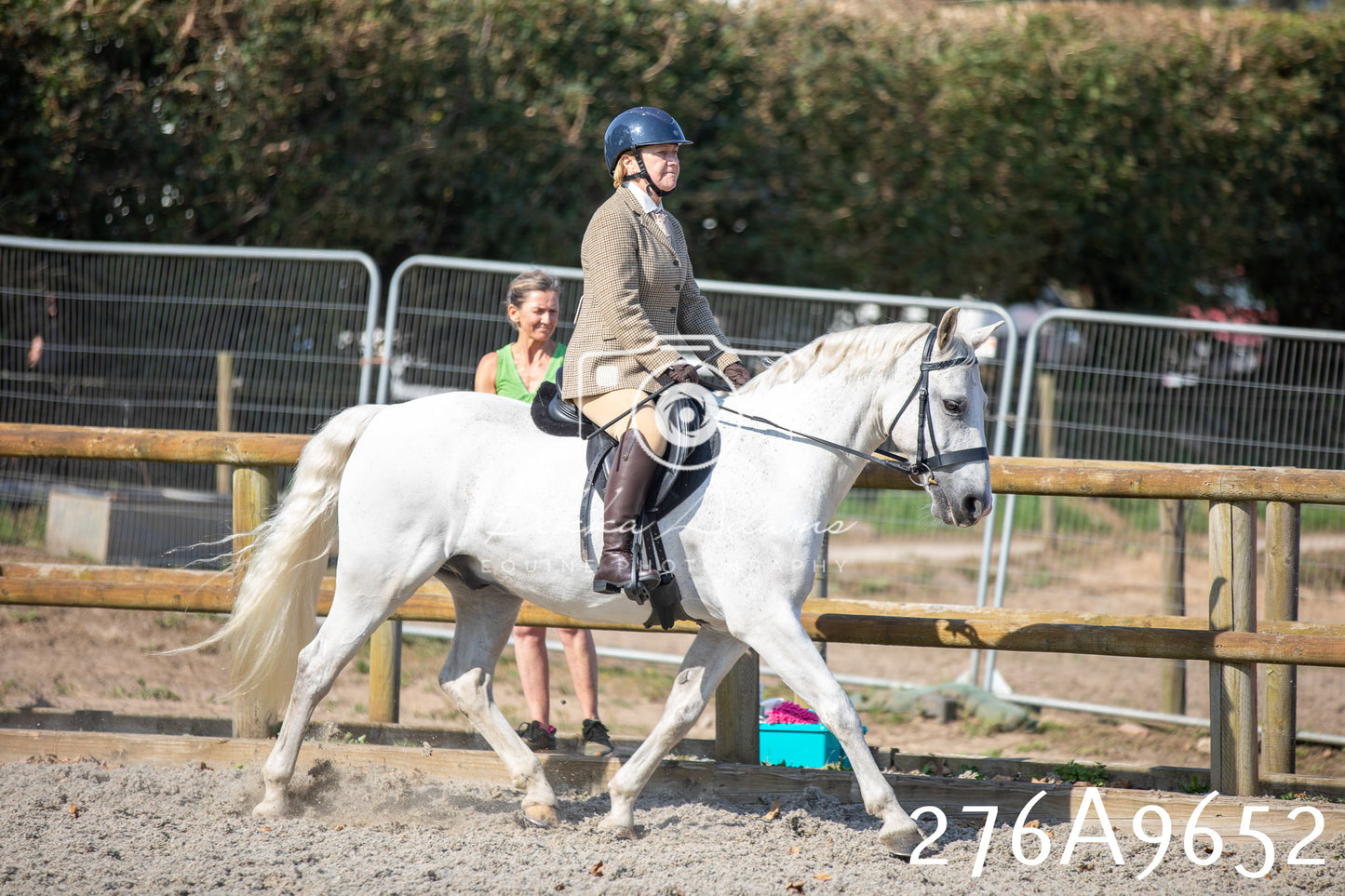Home Farm Annual Show 2025 - Ridden Pt 2