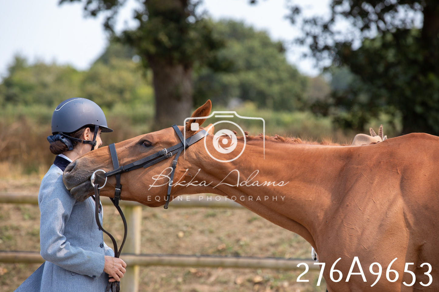Home Farm Annual Show 2025 - Inhand Pt 2