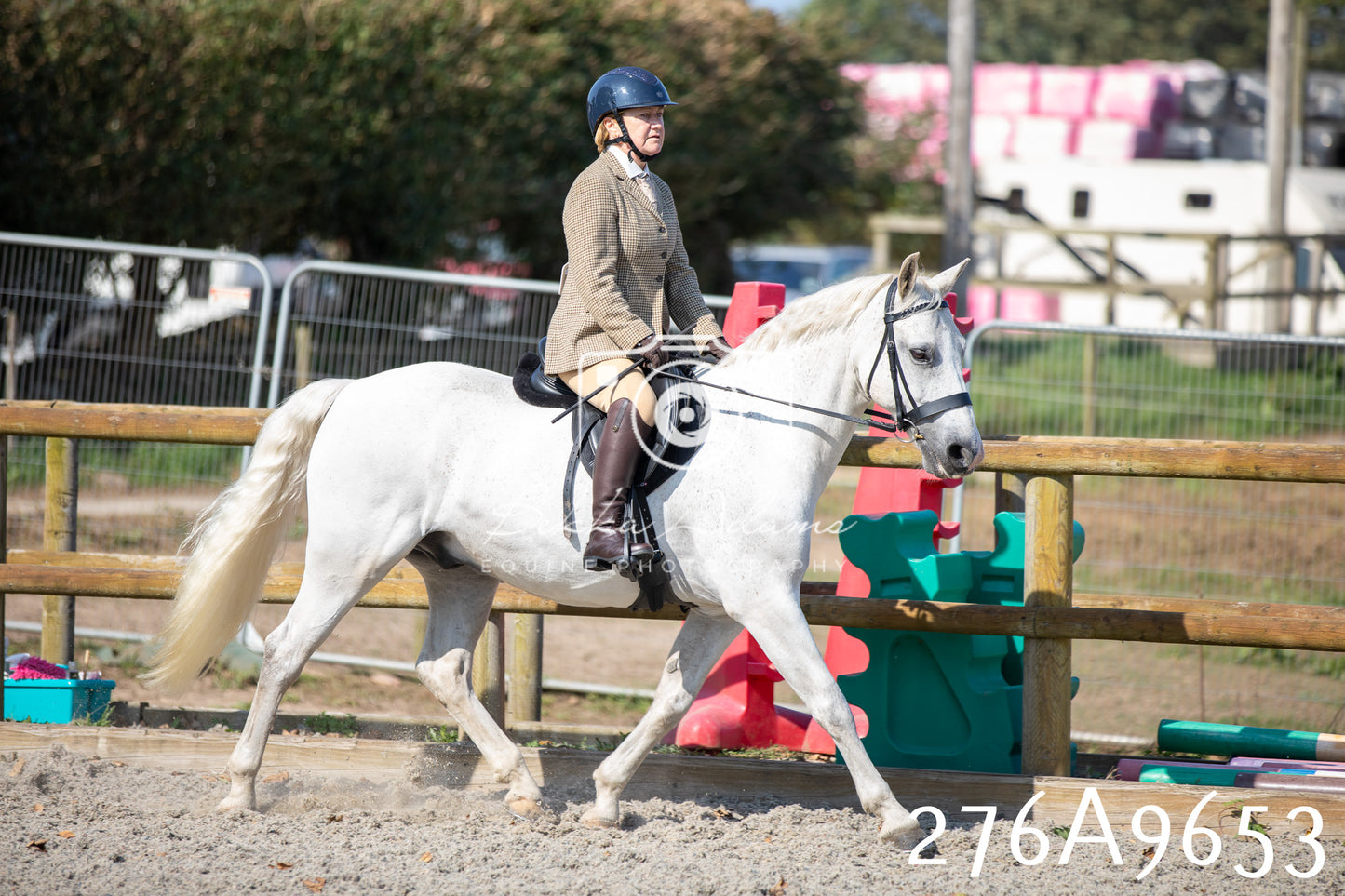 Home Farm Annual Show 2025 - Ridden Pt 2