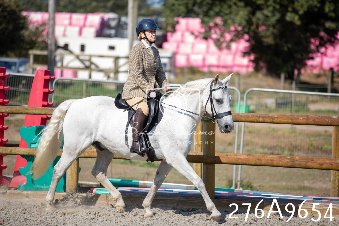 Home Farm Annual Show 2025 - Ridden Pt 2