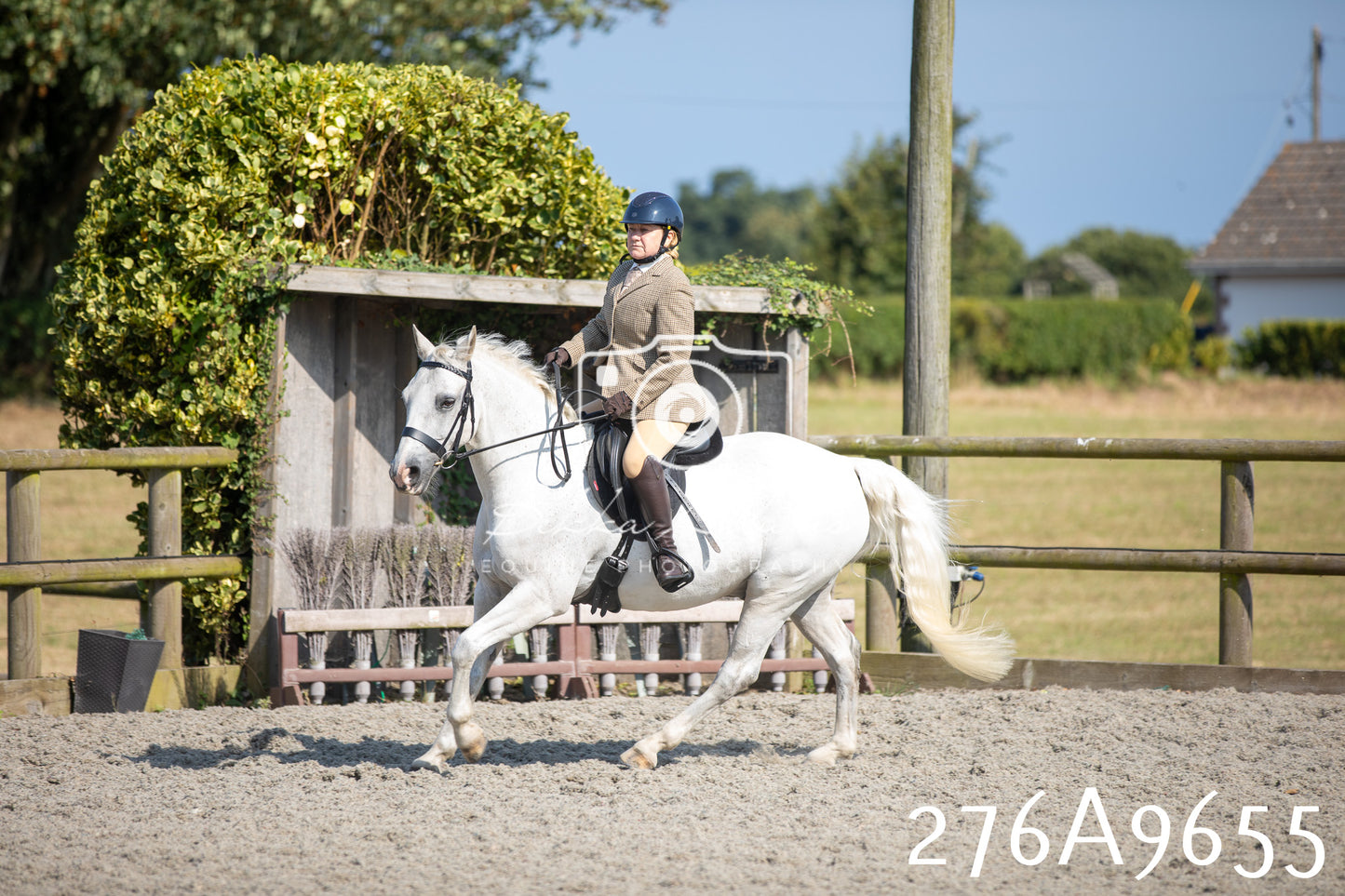 Home Farm Annual Show 2025 - Ridden Pt 2