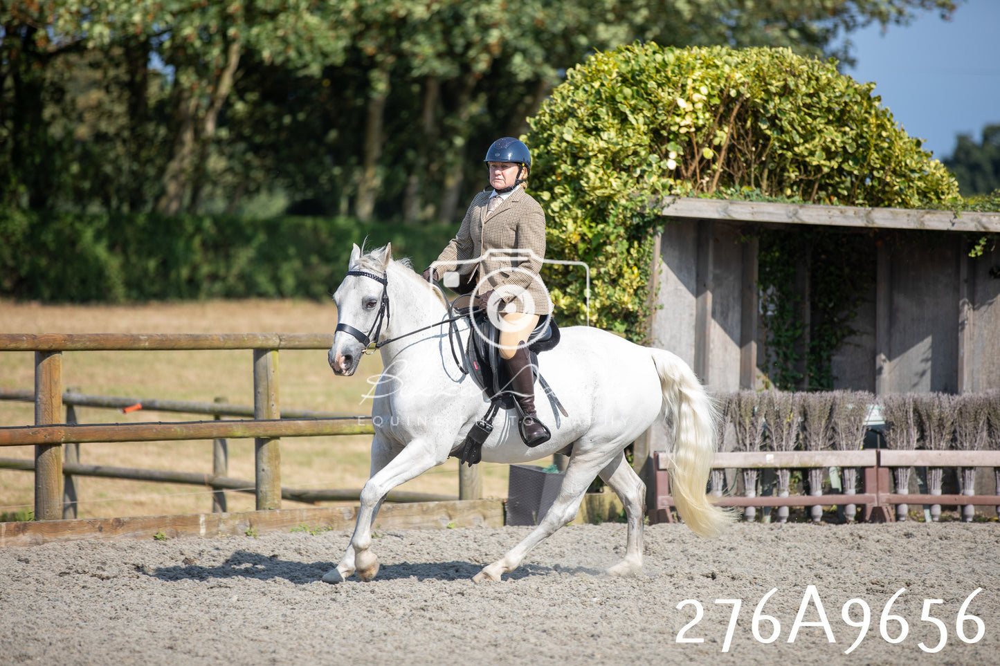 Home Farm Annual Show 2025 - Ridden Pt 2