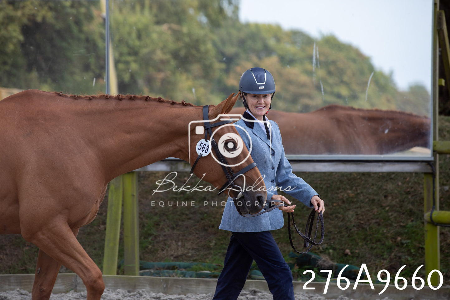 Home Farm Annual Show 2025 - Inhand Pt 2