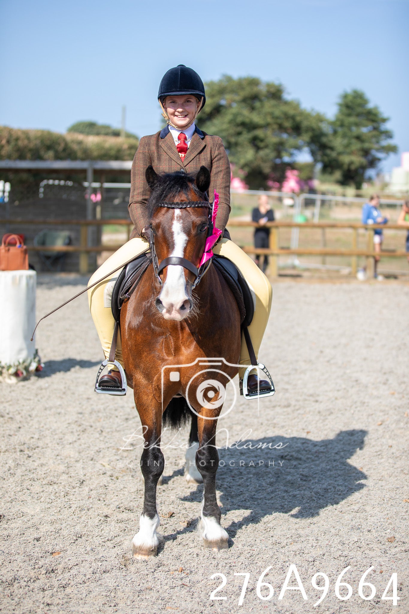 Home Farm Annual Show 2025 - Ridden Pt 2