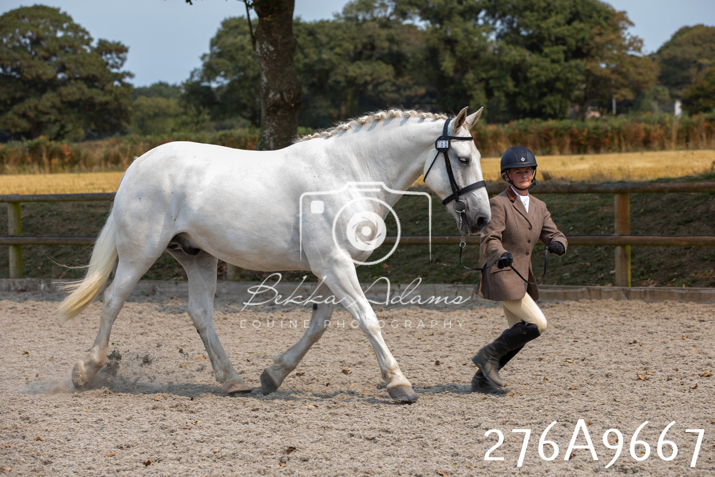 Home Farm Annual Show 2025 - Inhand Pt 2